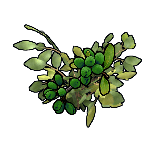 clone green berry
