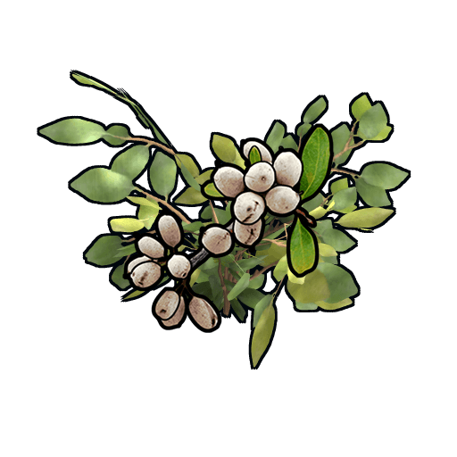 clone white berry