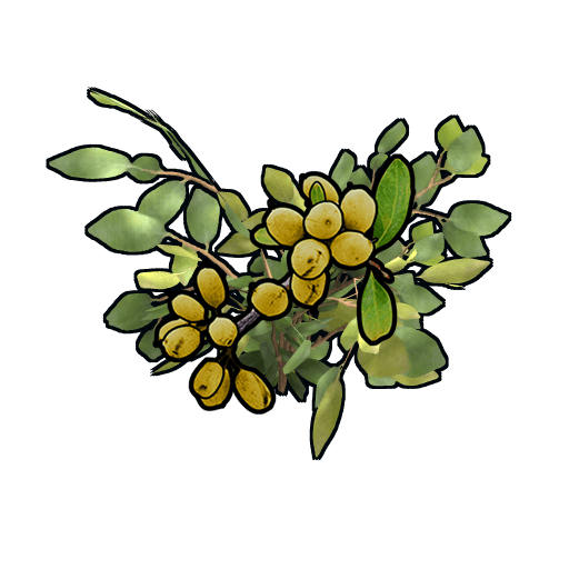 clone yellow berry
