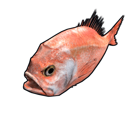 fish orangeroughy