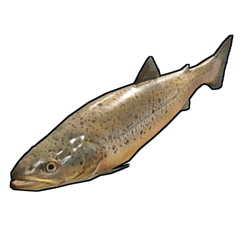fish troutsmall