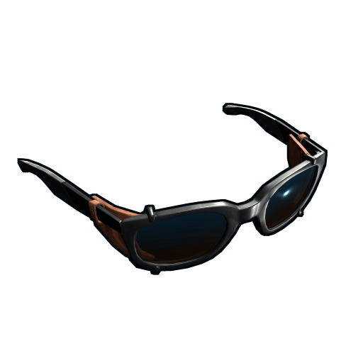 sunglasses02black